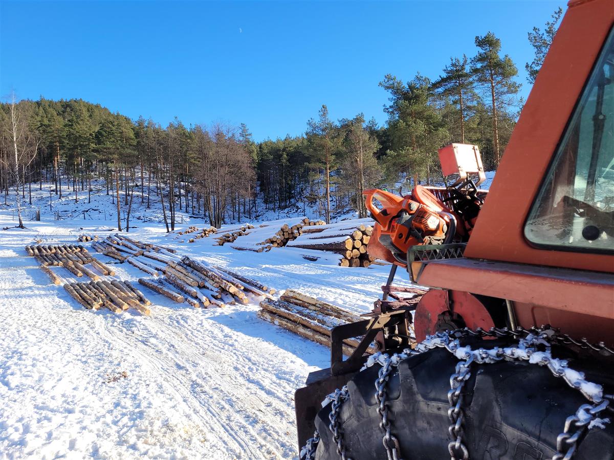 Nytt Skogbrukstilskudd I Evje Og Hornnes - Evje Og Hornnes Kommune